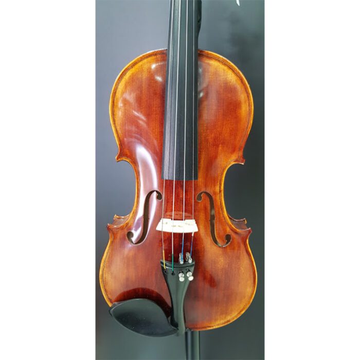 Hora V250 4/4 Academy Violin Inc. Bow And Case