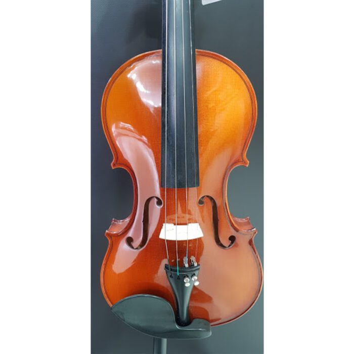 Hora V200 4/4 Elite Violin Inc. Bow And Case