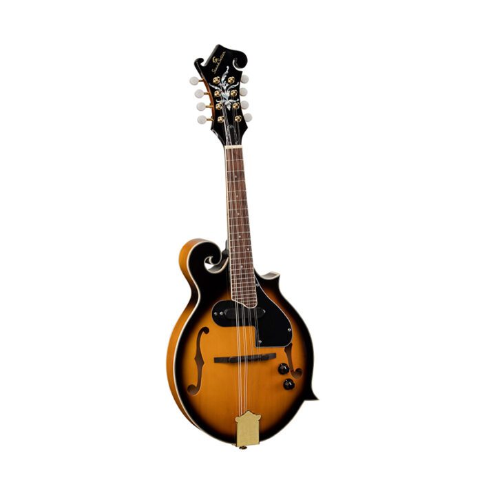 SOUNDSATION BMA-100ES Bluegrass Mandolin With Pick Ups