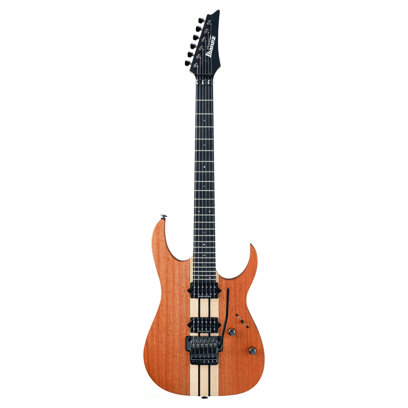 IBANEZ RGT220H-SOL Electric Guitar – Music Gallery