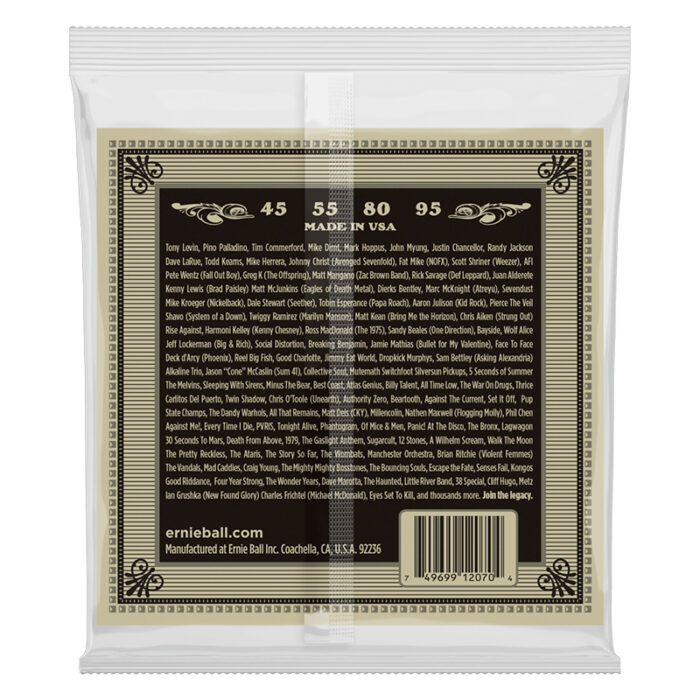 ERNIEBALL Earthwood Phosphor Bronze Acoustic Bass Strings - 45-95 Gauge (P02070)