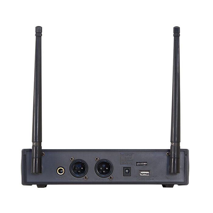 SOUNDSATION WF-D290HH UHF Dual Digital Wireless Microphone System