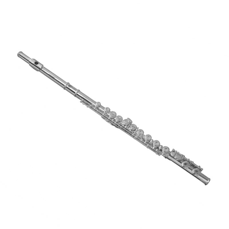 SOUNDSATION SFL-10E C Flute Nickel Plated Finish