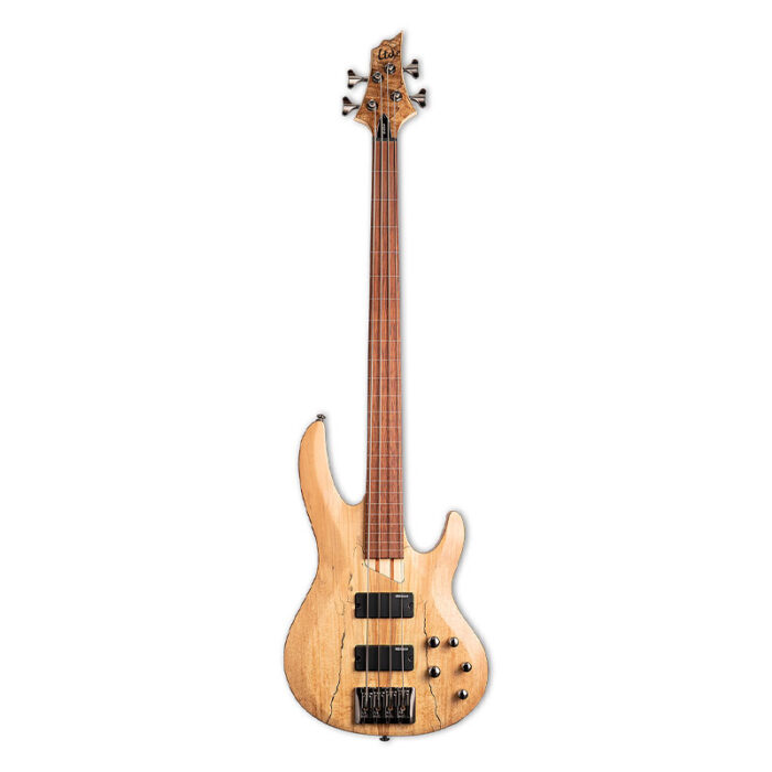 ESP LTD B204SM FL Natural Satin Fretless Bass Guitar