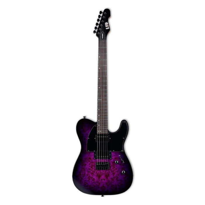 ESP LTD TE-200DX PRB Purple Burst Electric Guitar