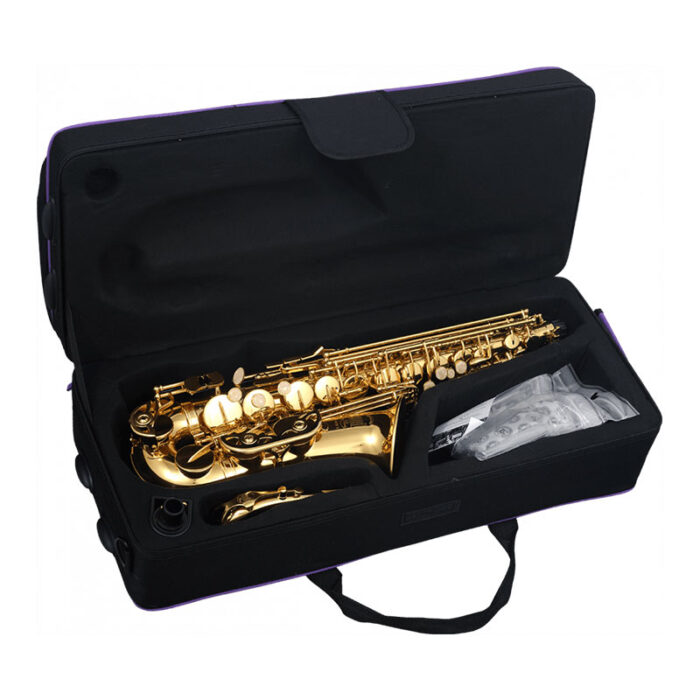 SML PARIS [A420-II] Eb Alto Saxophone Lacquered Brass